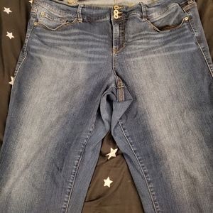Torrid Premium Jeggings 24T